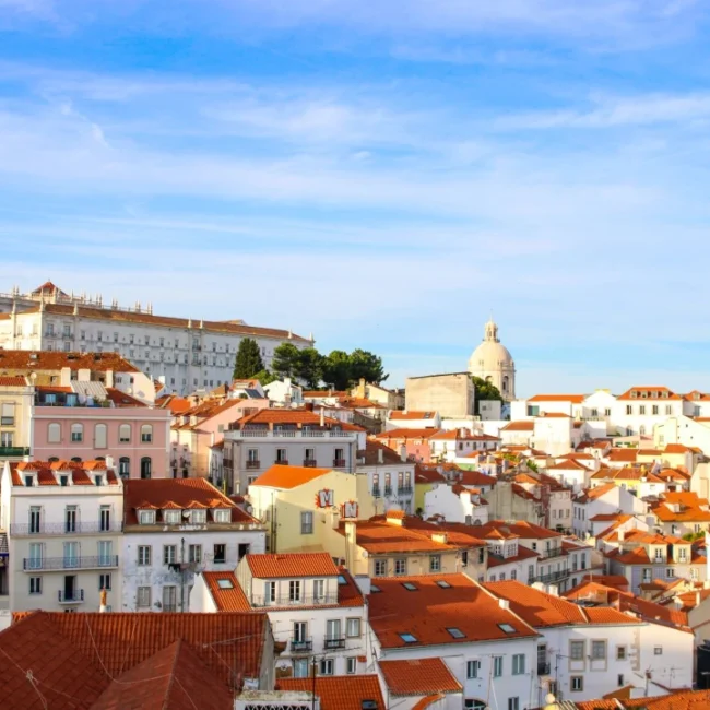 Visa D7 ou D8 pour le Portugal : lequel correspond à votre situation ?